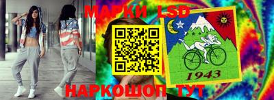 СК Камышлов