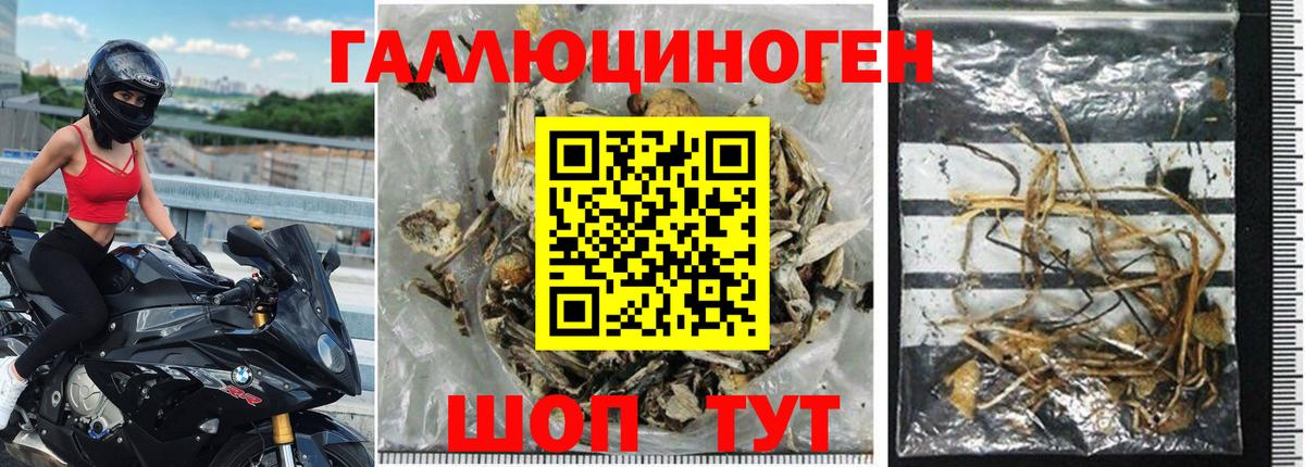 Галлюциногенные грибы прущие грибы Люберцы
